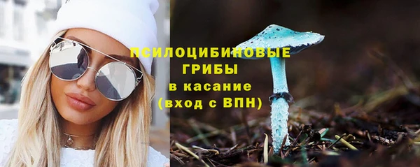 молекула духа Абинск