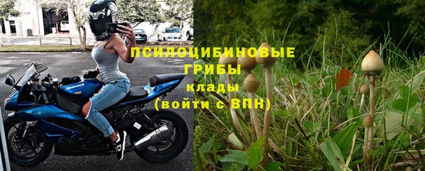не бодяженный Абаза