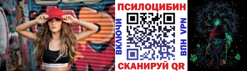 цена   Алексин  kraken маркетплейс  Псилоцибиновые грибы Cubensis 